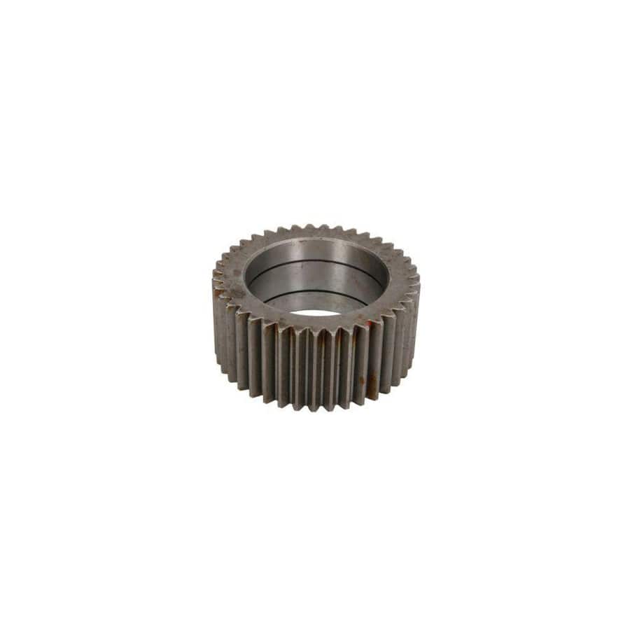 BTA B06-2069 Cap, Wheel Bearing
