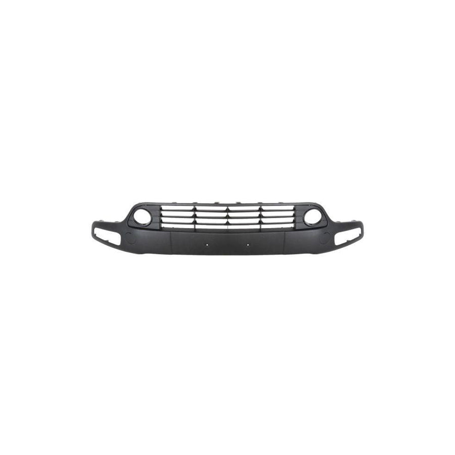 Blic 6509-01-2019921P Bumper Moulding