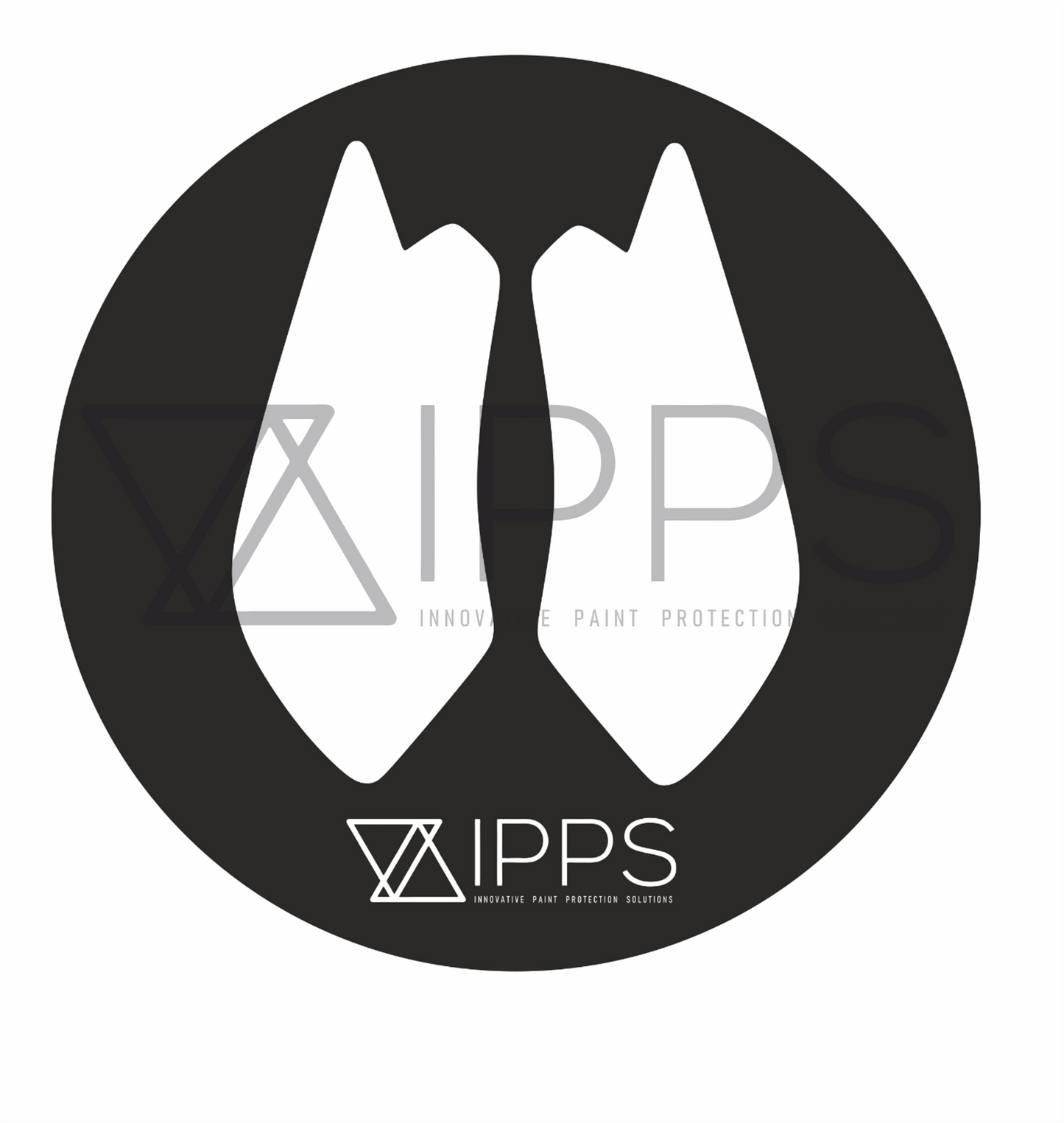 IPPS BMW MINI E92 F21 F22 F32 F82 Door Shut Paint Protection Film Kit (Inc. M135i, M240i, 335i & M4)