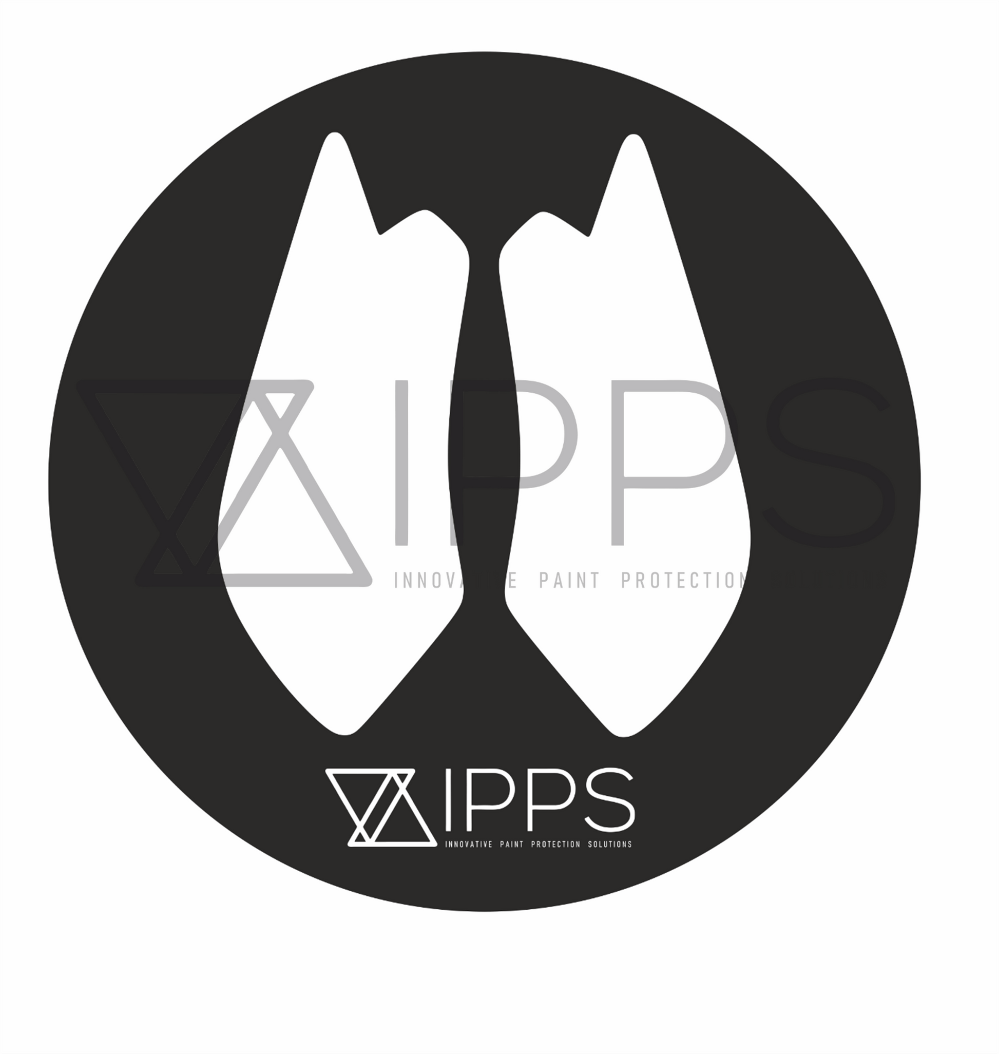 IPPS BMW MINI E92 F21 F22 F32 F82 Door Shut Paint Protection Film Kit (Inc. M135i, M240i, 335i & M4)