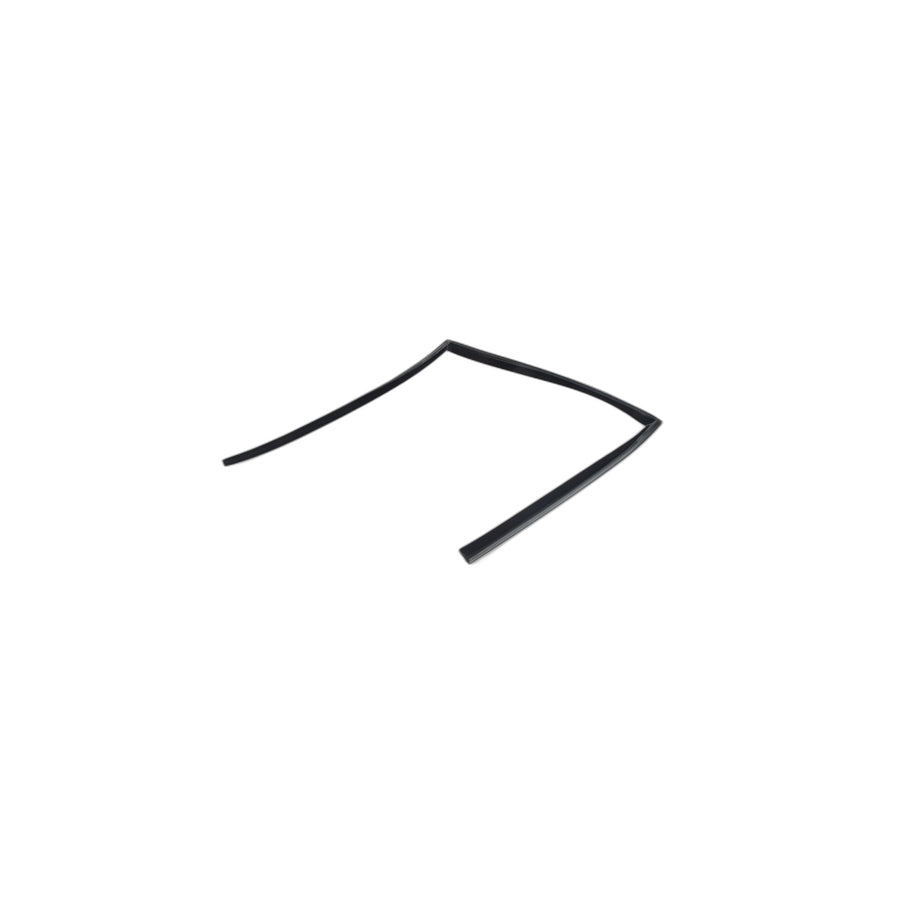 Genuine BMW 51357310318 E71 E72 Window Guide, Right Rear Door (Inc. X6) | ML Performance US Car Parts