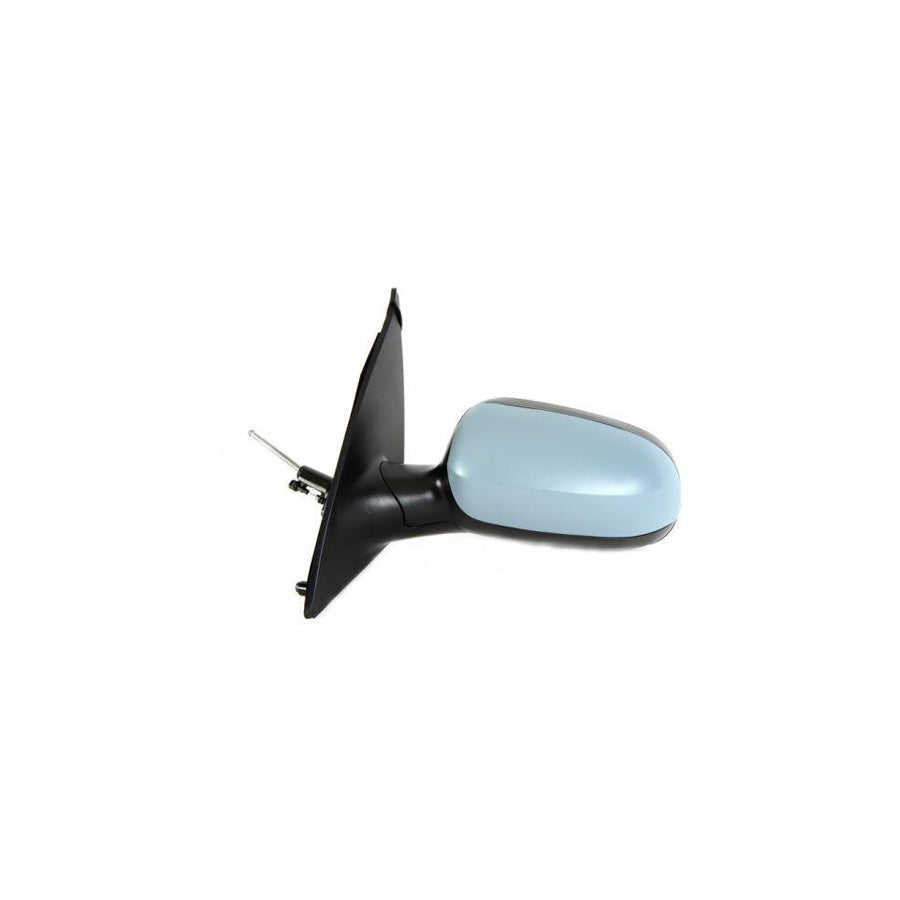 Blic 5402-04-1197229P Wing Mirror