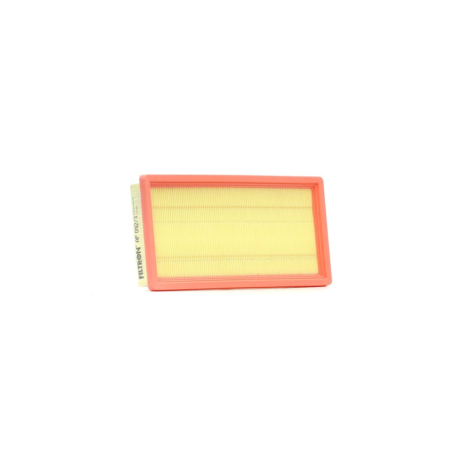 Filtron Ap 092/3 Air Filter