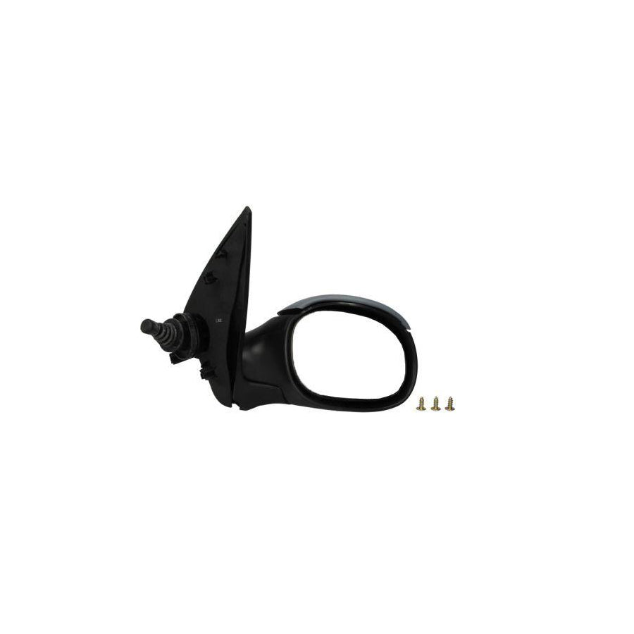 Blic 5402-04-1121530P Wing Mirror For Peugeot 206