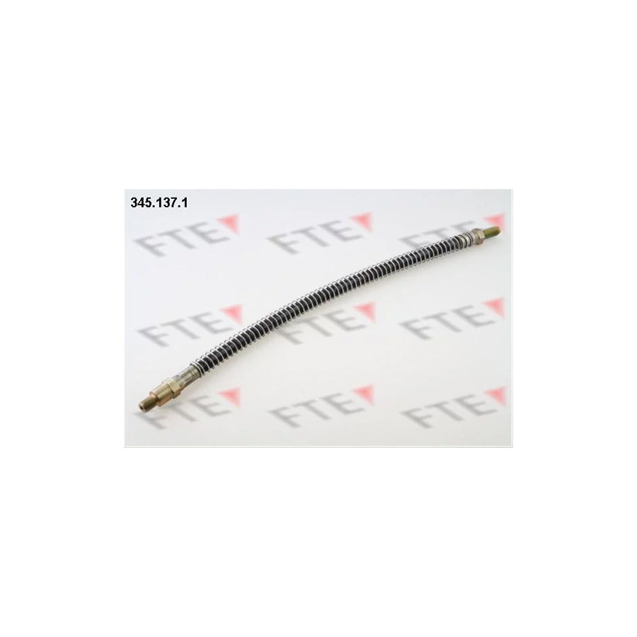 FTE 345.137.1 Brake Hose