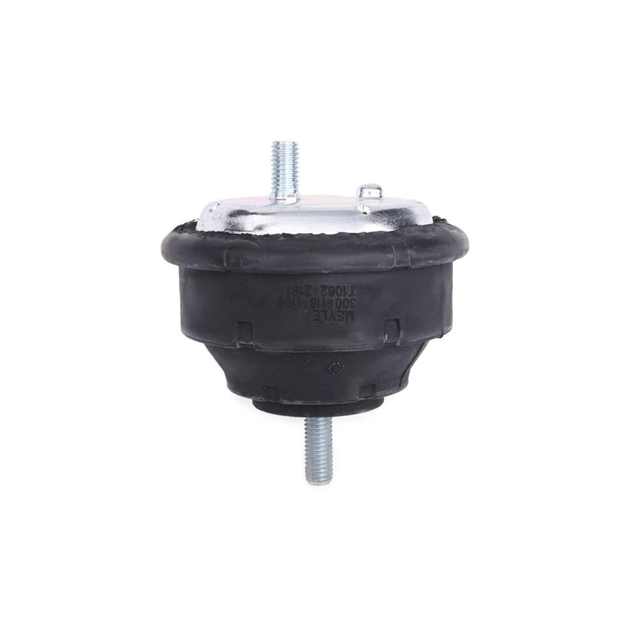 Meyle 300 118 1106 Engine Mount