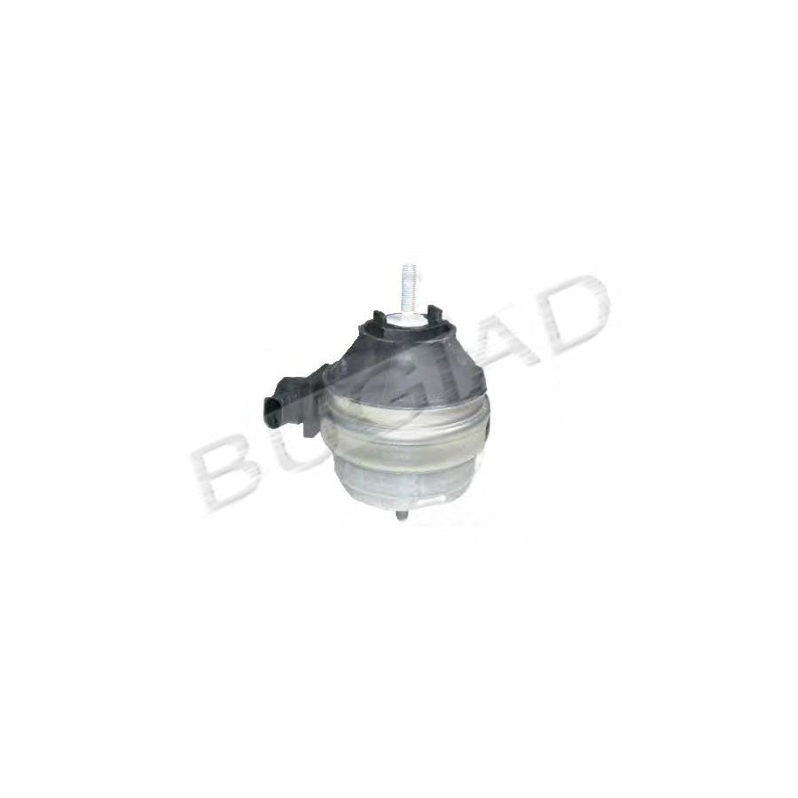 BUGIAD Bsp22568 Engine Mounting