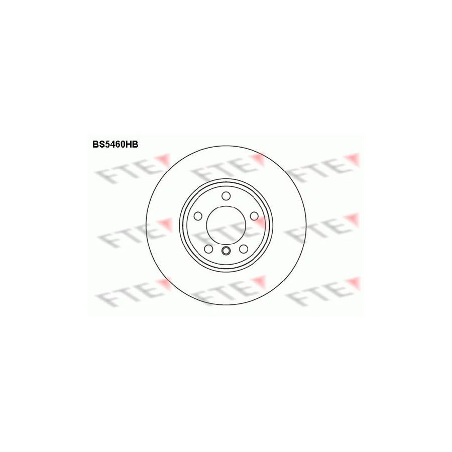 FTE Bs5460Hb Brake Disc for BMW 7 (E65, E66, E67)