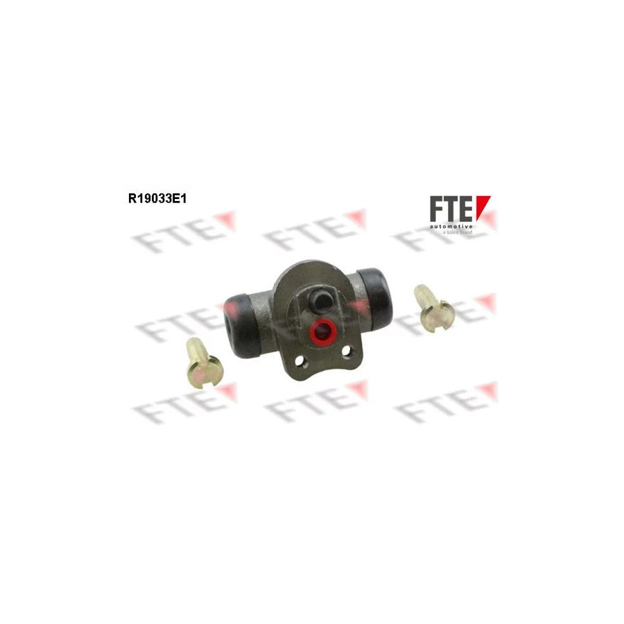 FTE R19033E1 Wheel Brake Cylinder