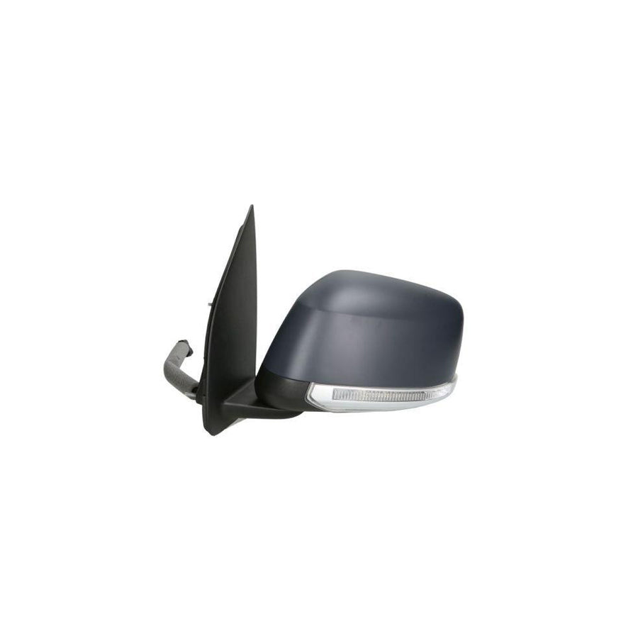 Blic 5402-16-2001929P Wing Mirror