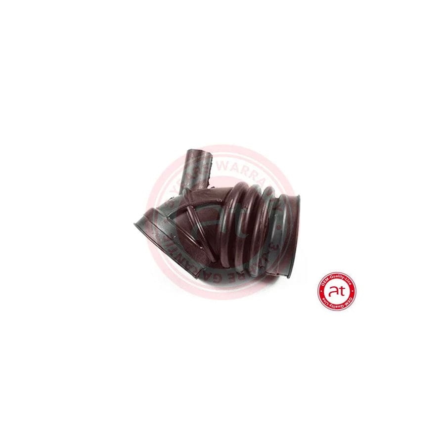at autoteile germany At20363 Intake Pipe, Air Filter for BMW 3 Series