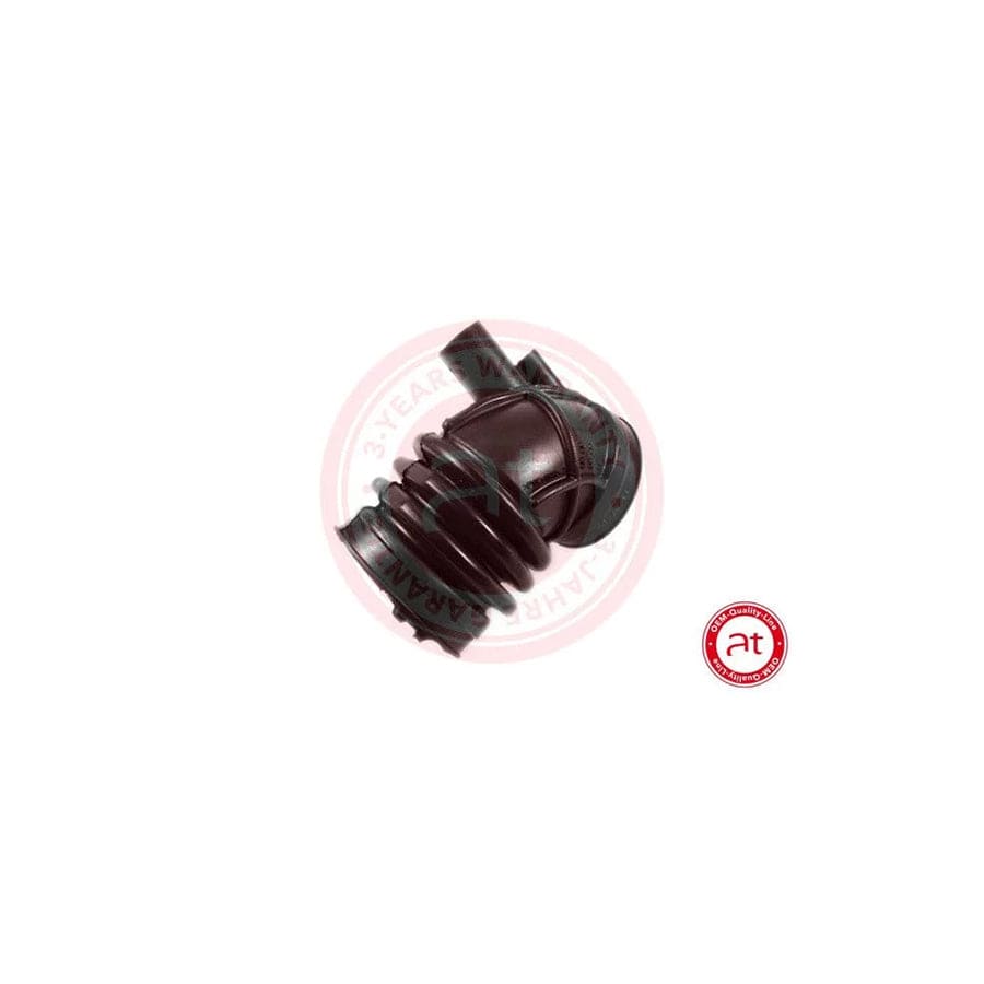 at autoteile germany At20362 Intake Pipe, Air Filter for BMW 3 Series