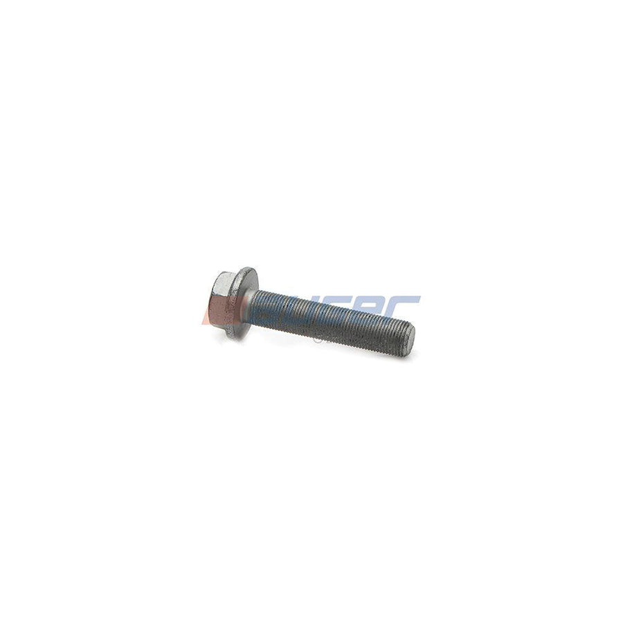 Auger 80230 Screw