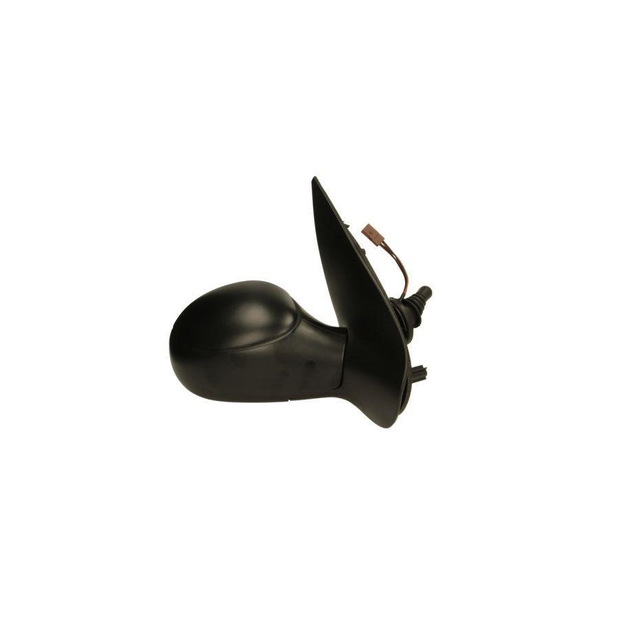 Blic 5402-04-1121528P Wing Mirror For Peugeot 206