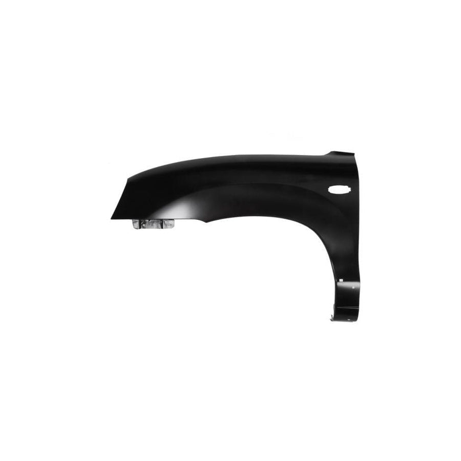 Blic 6504-04-3180311P Wing Fender For Hyundai Santa Fe I (Sm)