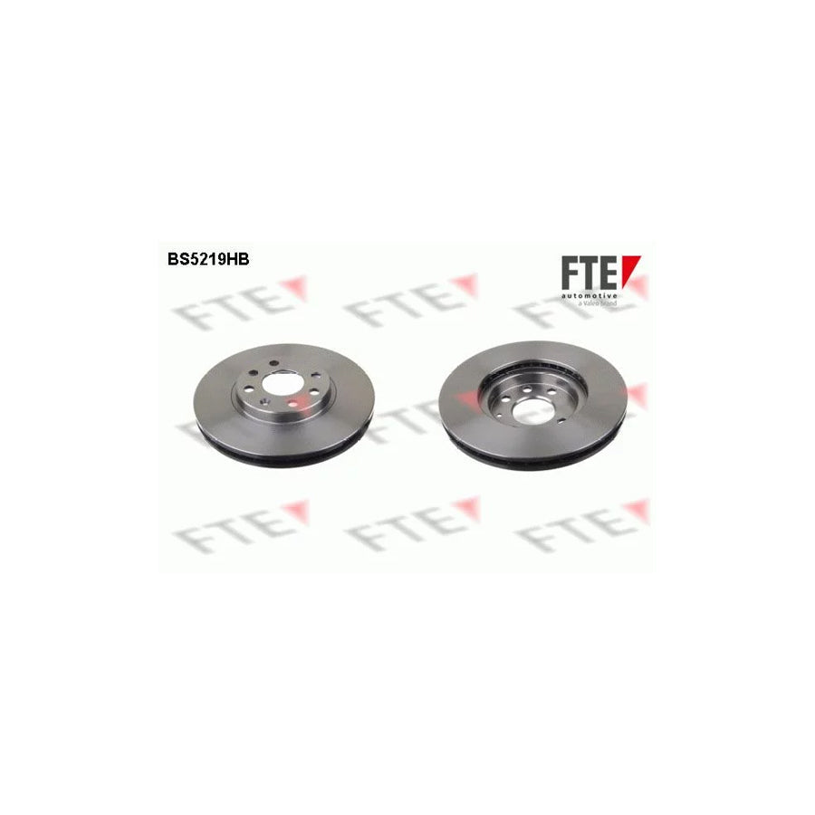 FTE 9082554 Brake Disc