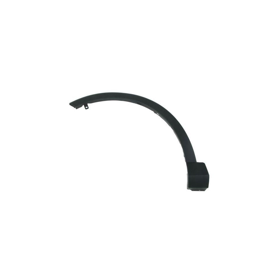 Blic 5703-06-8178573P Trim / Protective Strip, Mudguard For Toyota Rav4 IV Off-Road (Xa40)