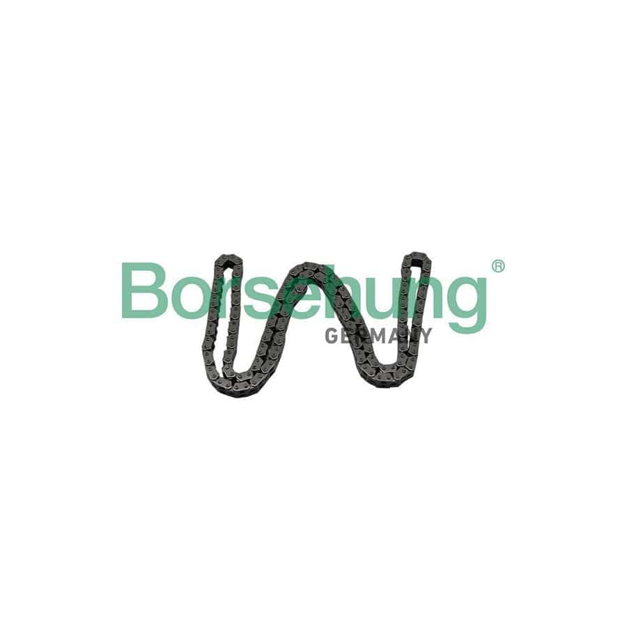 Borsehung B17886 Timing Chain