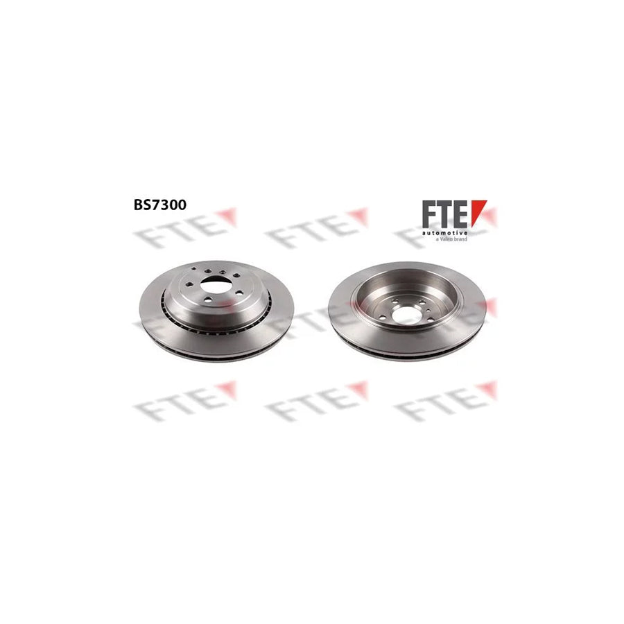 FTE Bs7300 Brake Disc