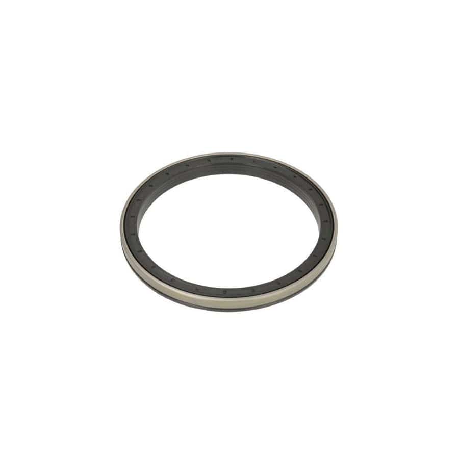 BTA B06-2100 Shaft Seal, Wheel Hub