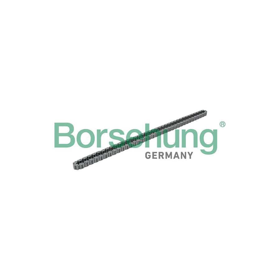 Borsehung B17876 Timing Chain