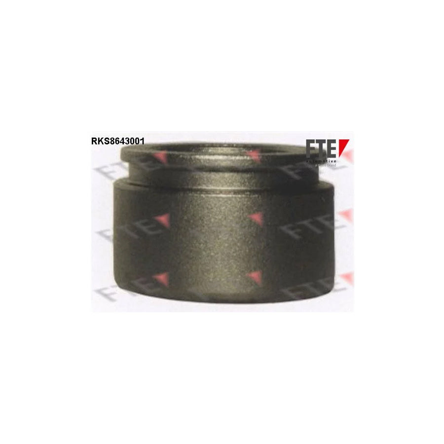 FTE Rks8643001 Piston, Brake Caliper