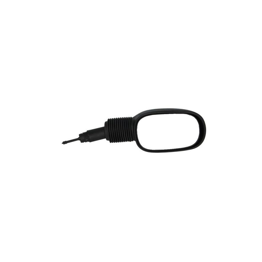 Blic 5402-04-1193382 Wing Mirror