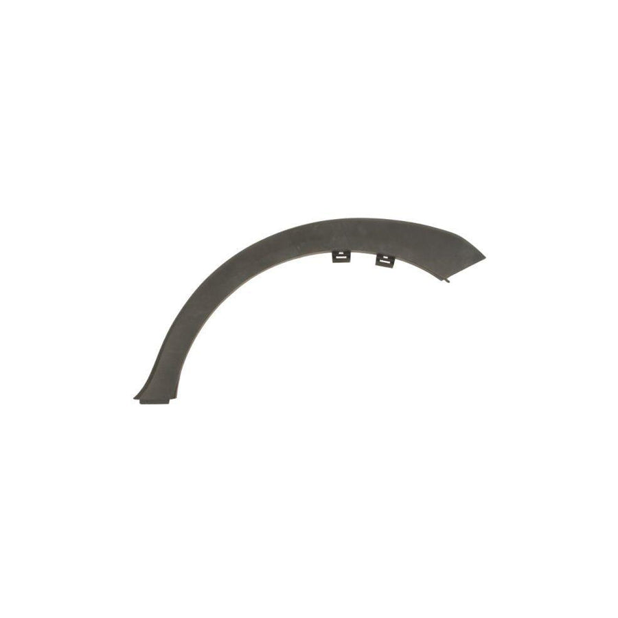 Blic 5703-06-6740573P Trim / Protective Strip, Mudguard