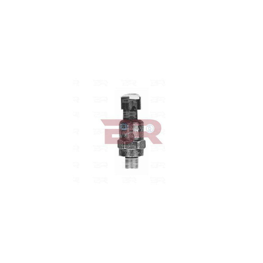Botto Ricambi Brel9549 Pressure Switch