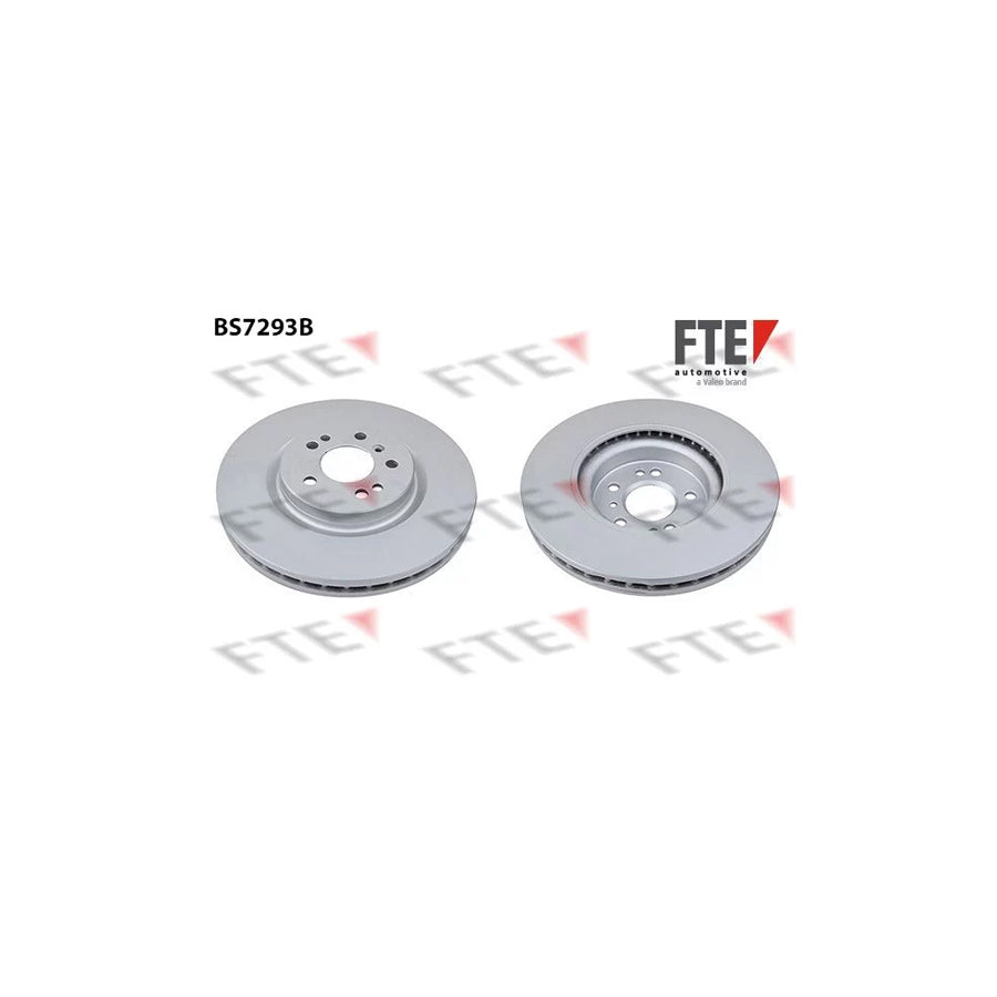 FTE Bs7293B Brake Disc