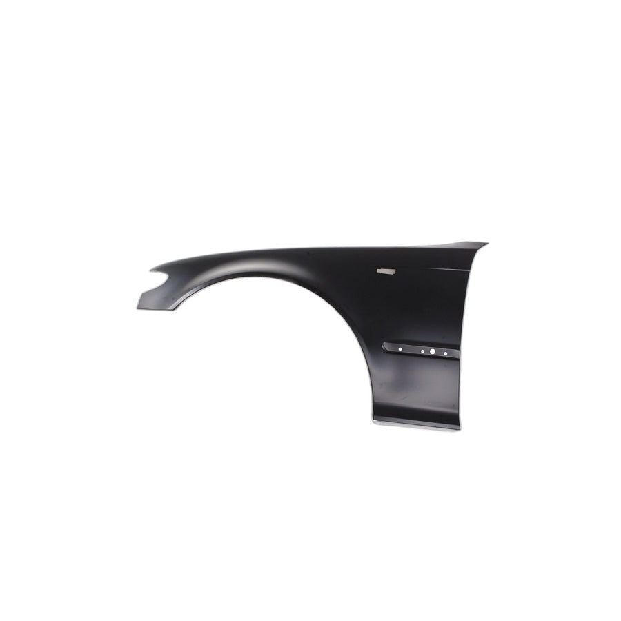 Genuine BMW 41357042323 E46 Side Panel, Front Left (Inc. 330xd, 325i & 316i) | ML Performance US Car Parts