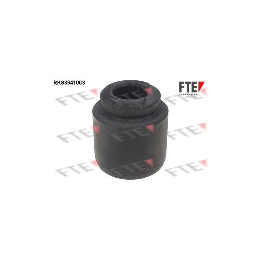 FTE Rks8641003 Piston, Brake Caliper