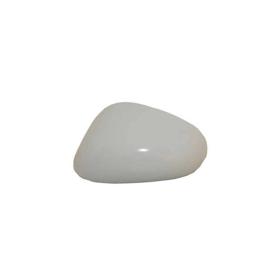 Abakus 3425C02 Cover, Outside Mirror for Seat Leon II Hatchback (1P1)