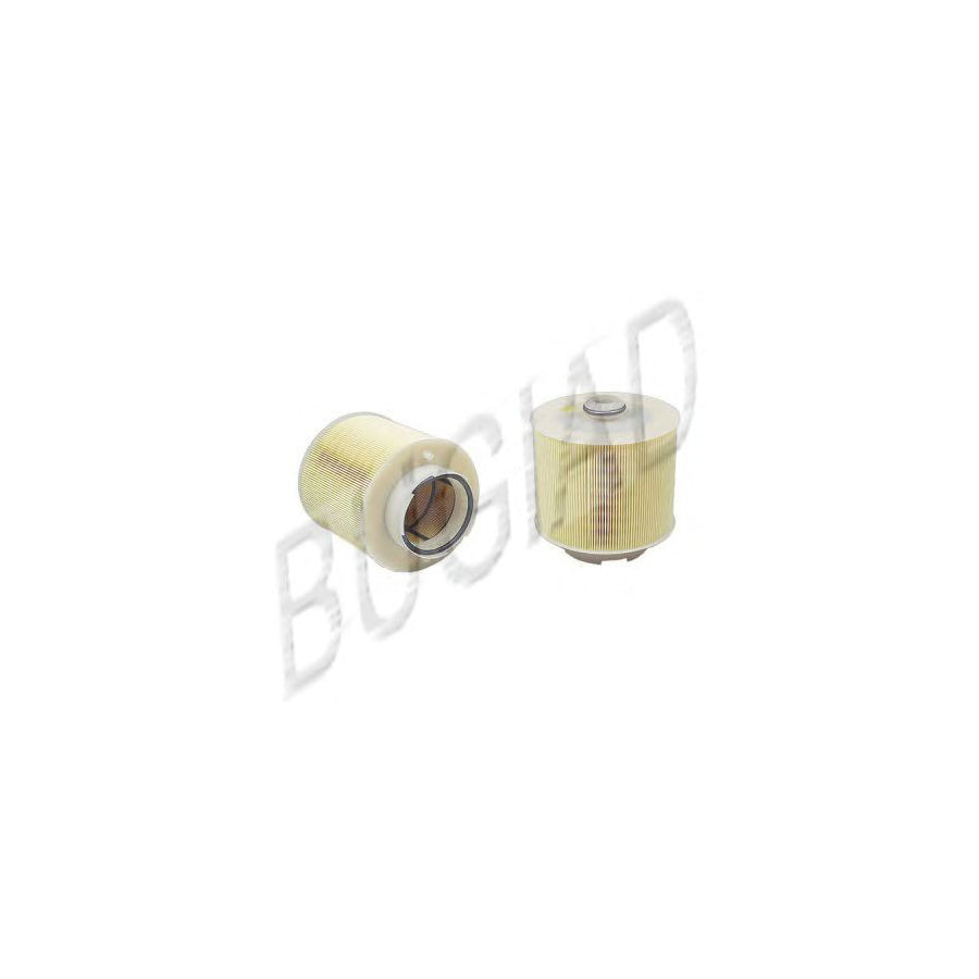 BUGIAD Bsp20949 Air Filter for Audi A6