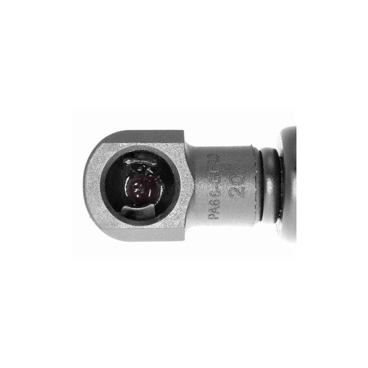 Ackoja A70-0117 Tailgate Strut | ML Performance US