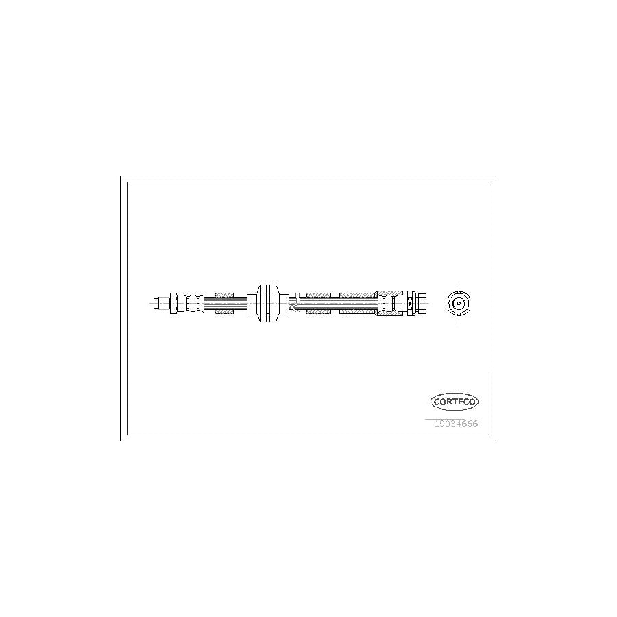 Corteco 19034666 Brake Hose for Ford Focus Mk2 Estate (Da_, Ffs, Ds)