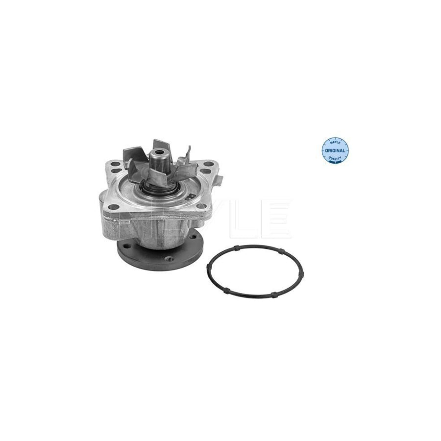 Meyle 32-13 220 0013 Water Pump
