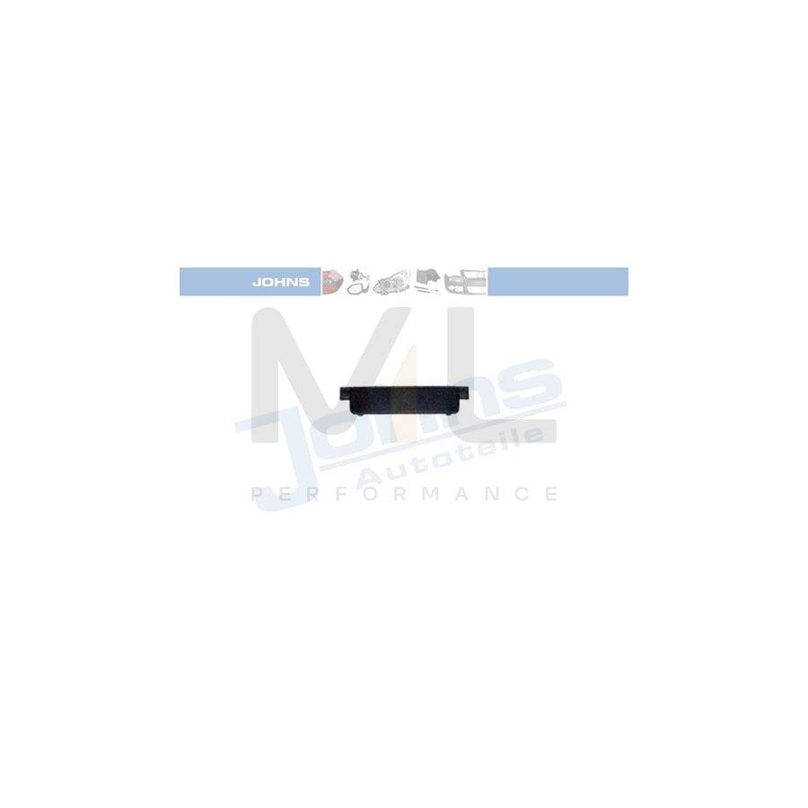JOHNS 95 48 07-3 Number plate holder for VW PASSAT Front, Black, frameless