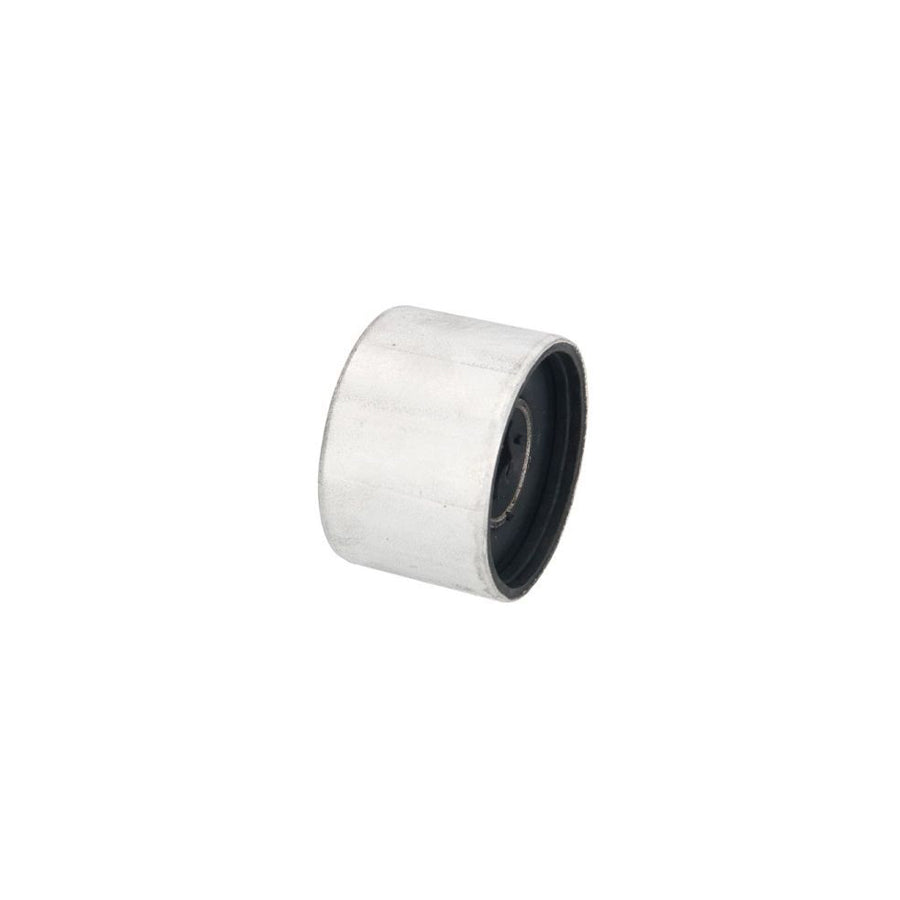 Reinhoch Rh140065 Control Arm / Trailing Arm Bush For Audi A2 (8Z0)