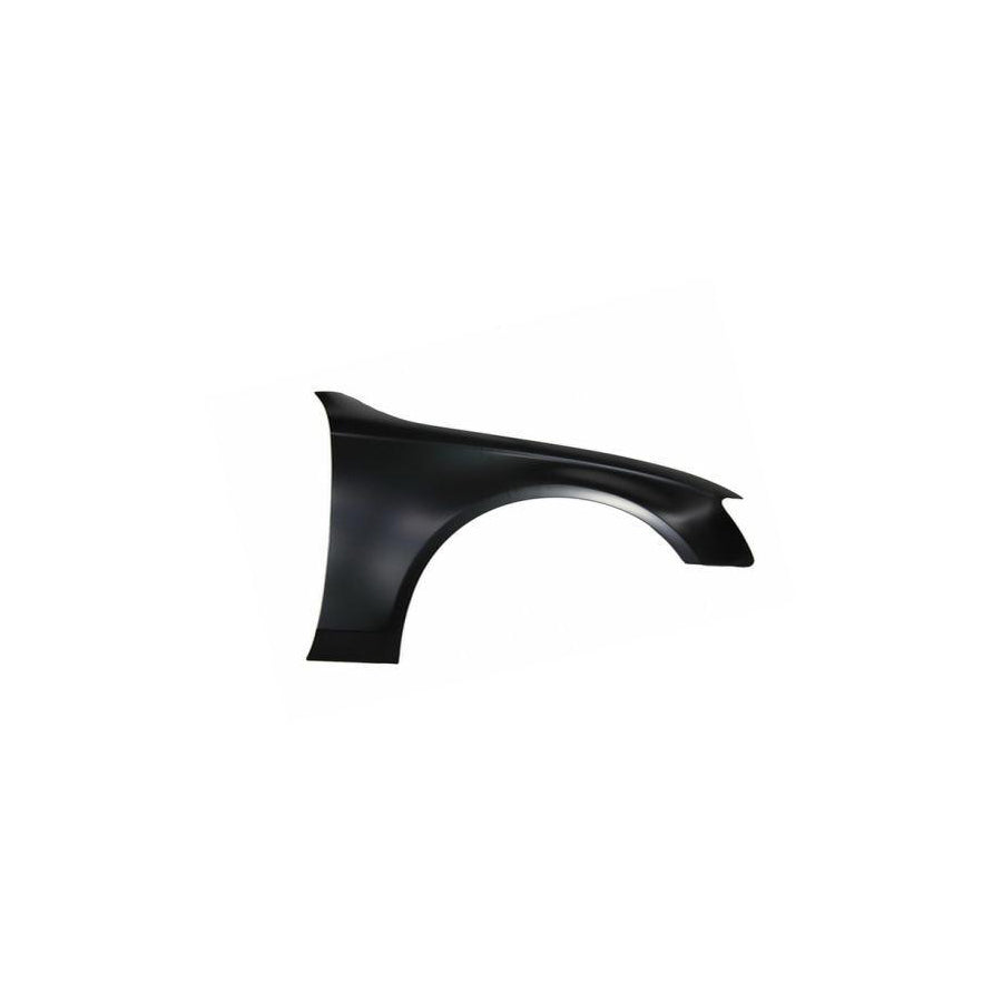 Blic 6504-04-0029312P Wing Fender For Audi A4