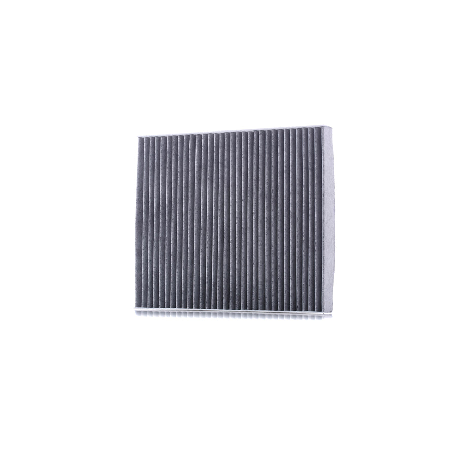 Master Sport 2545/1-IF-PCS-MS Pollen Filter