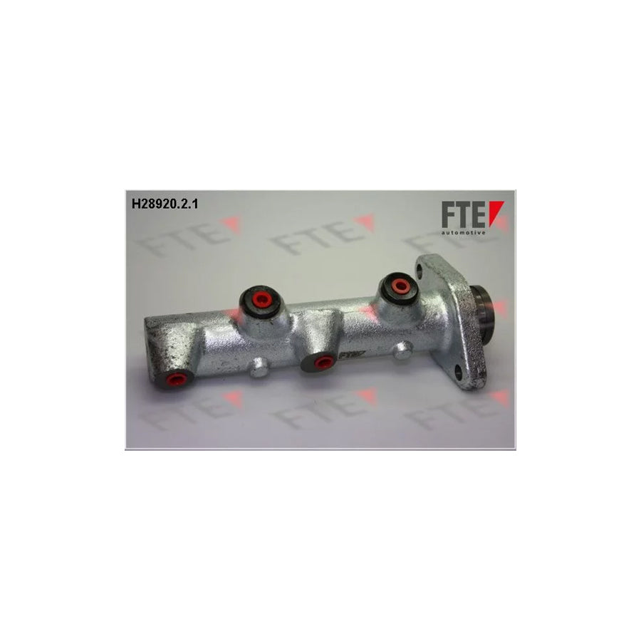 FTE H28920.2.1 Brake Master Cylinder for Iveco Daily