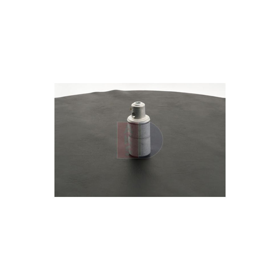 AKS Dasis 803110N Dryer, Air Conditioning