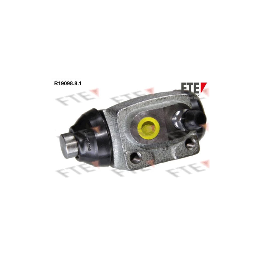 FTE R19098.8.1 Wheel Brake Cylinder