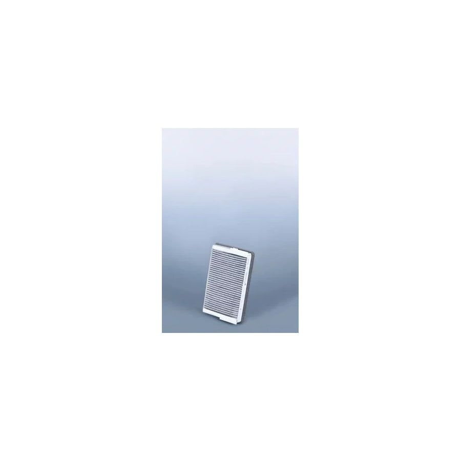 Fleetguard Af26670 Pollen Filter