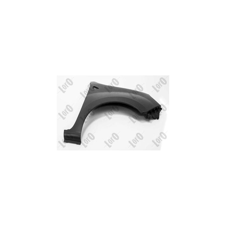 Abakus 04240202 Wing Fender for Renault Kangoo