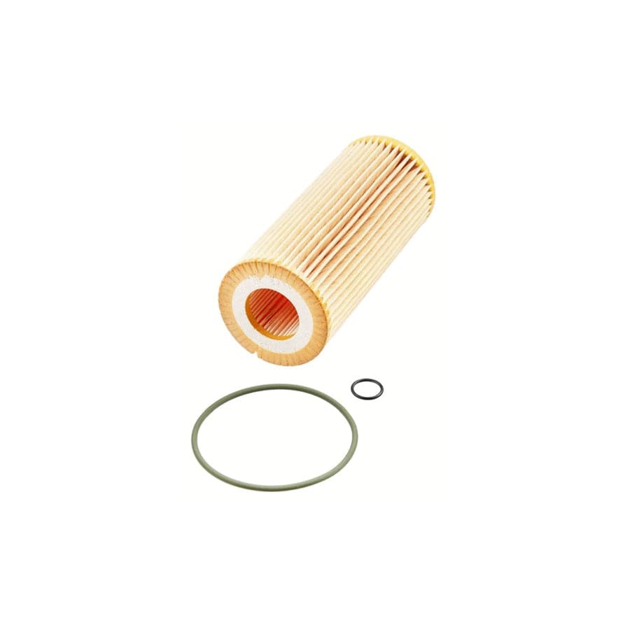 ZF Getriebe 5961307861 Hydraulic Filter, Automatic Transmission