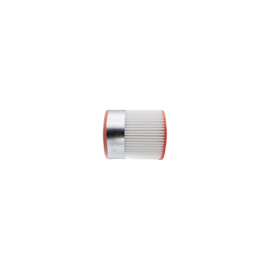 Automega 180026110 Air Filter For Audi A8 D3 (4E2, 4E8)
