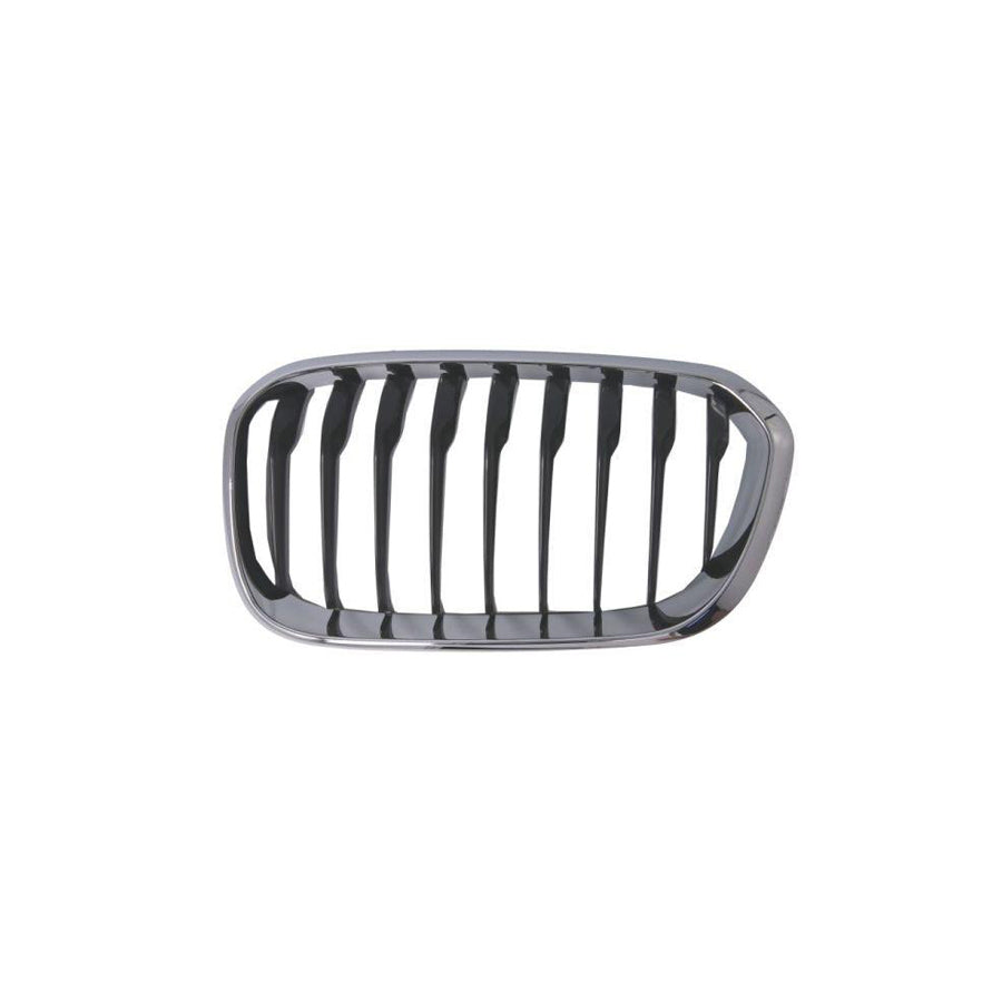 Blic 6502-07-0086997Cp Radiator Grille For BMW 1 Series