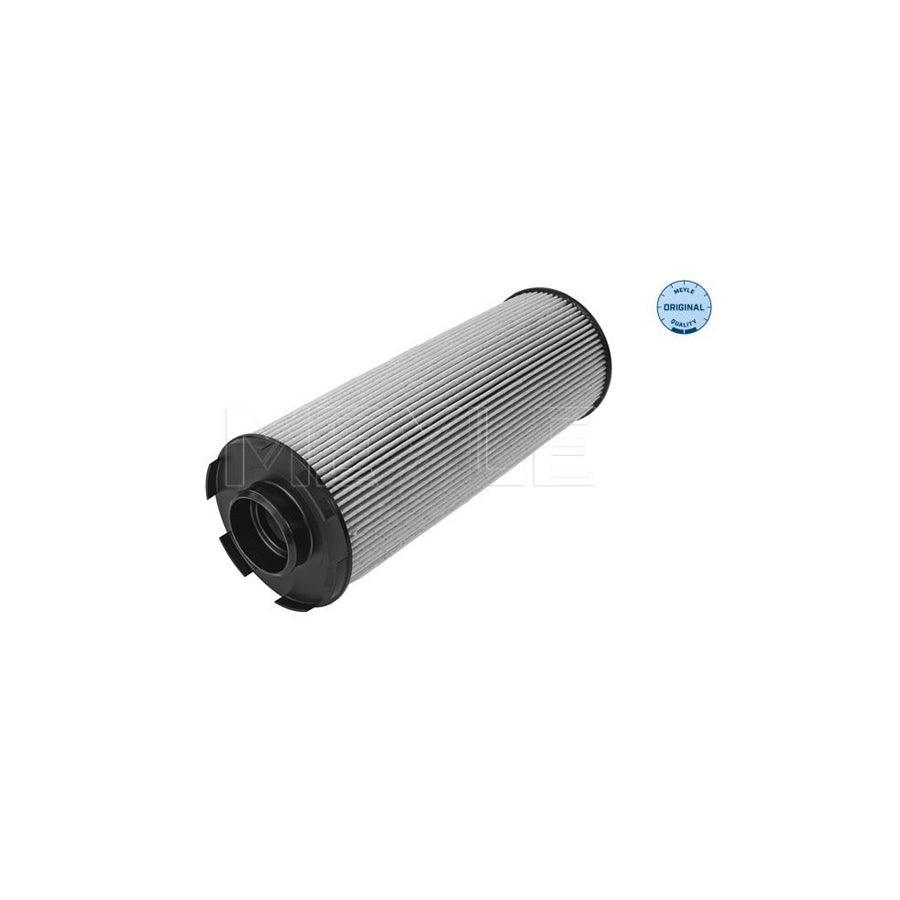 Meyle 16-12 319 0005 Pollen Filter